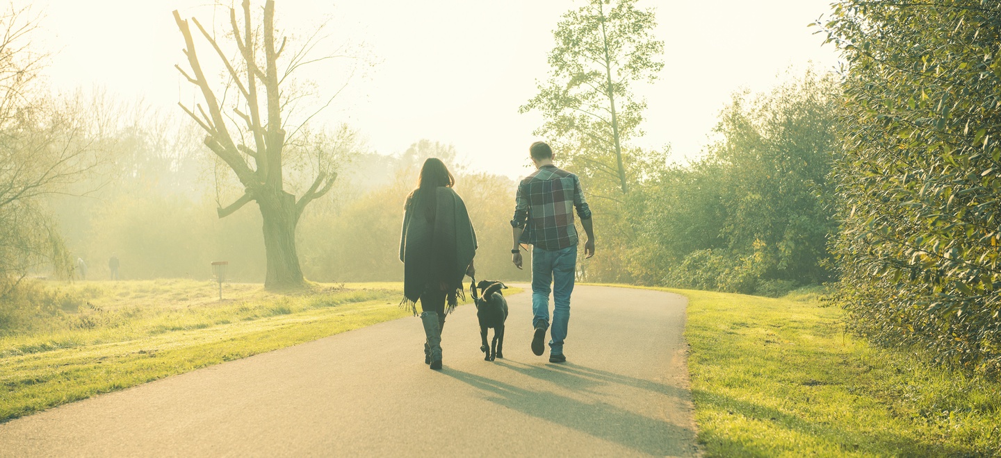 Zwei Menschen gehen mit ihrem Hund im Allerpark Wolfsburg spazieren.