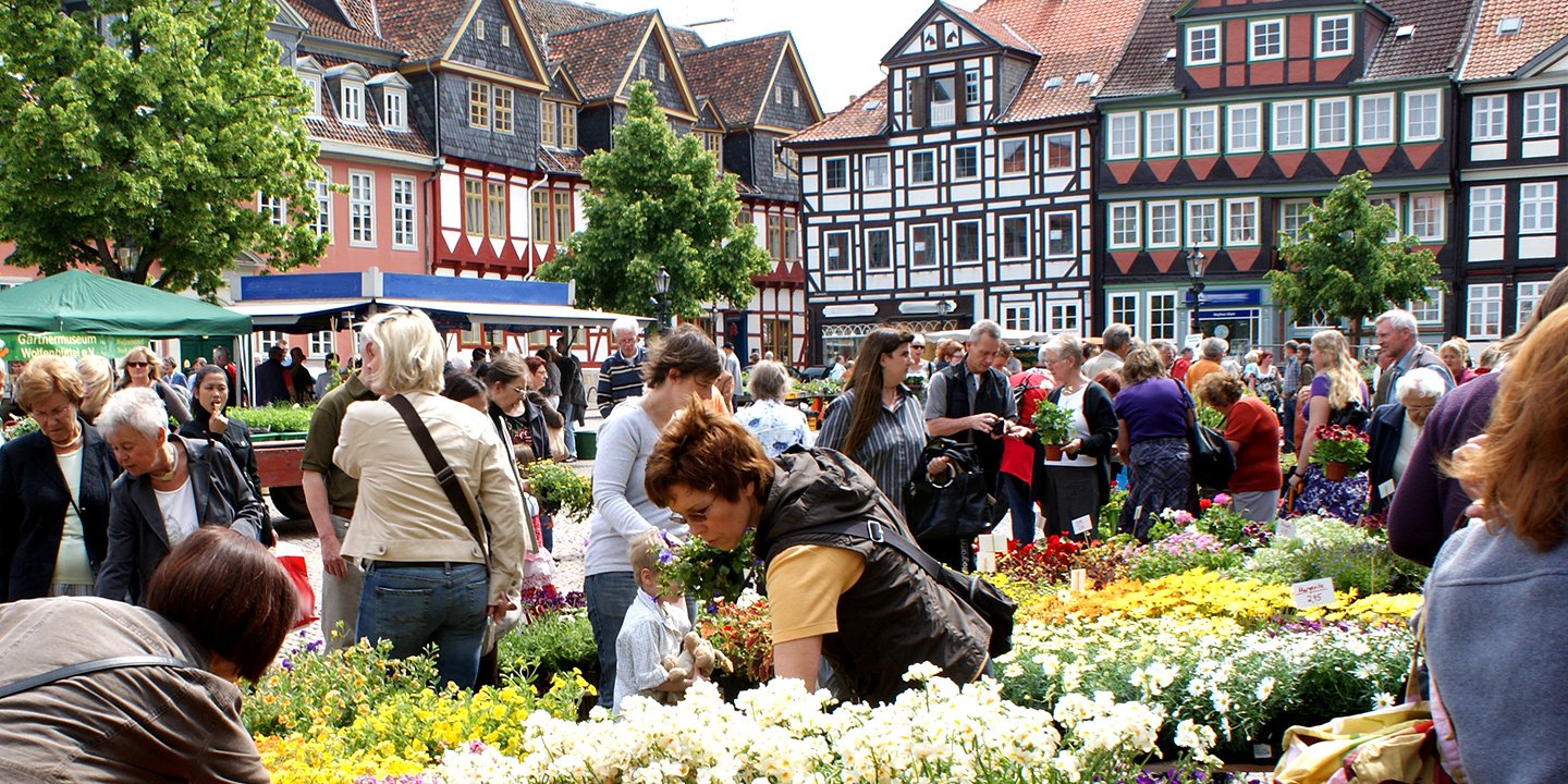 Menschen suchen sich auf Markt Blumen an einem Blumenstand aus