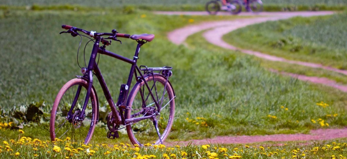 Ein Fahrrad an einer Blumenwiese.