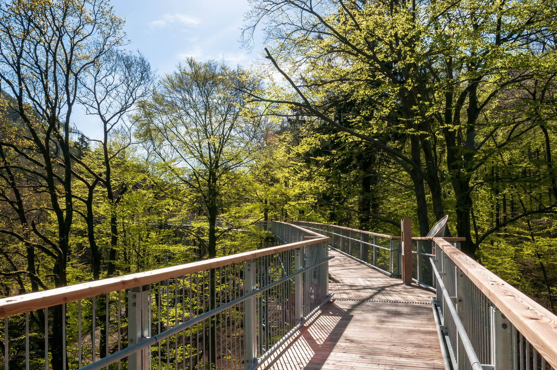 Der Baumwipfelpfad Harz führt einen Kilometer durch die Baumkronen Bad Harzburgs.
