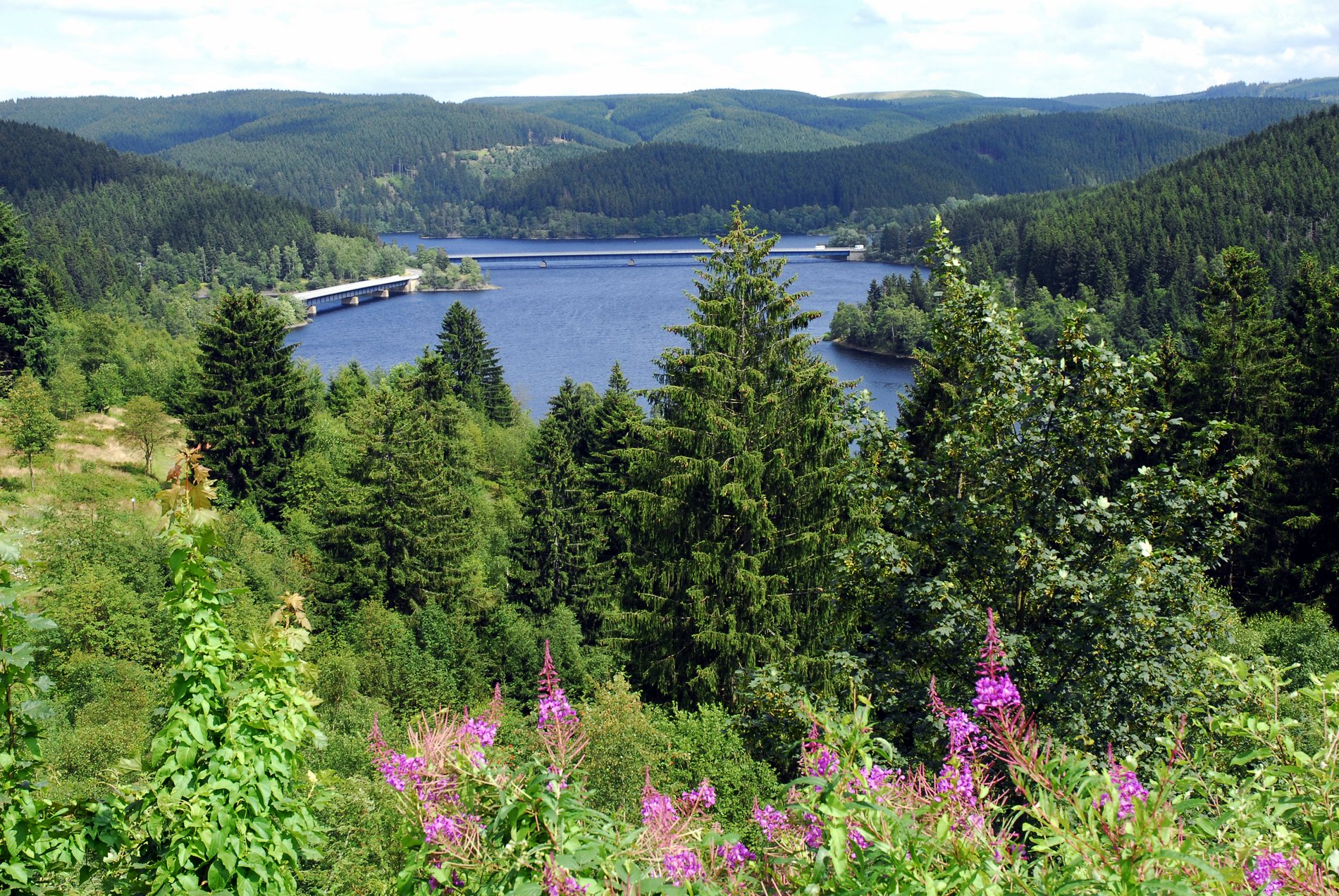 Die Okertalsperre und ringsum blühende Natur in Schulenberg, einem Dorf im Harz, Landkreis Goslar.