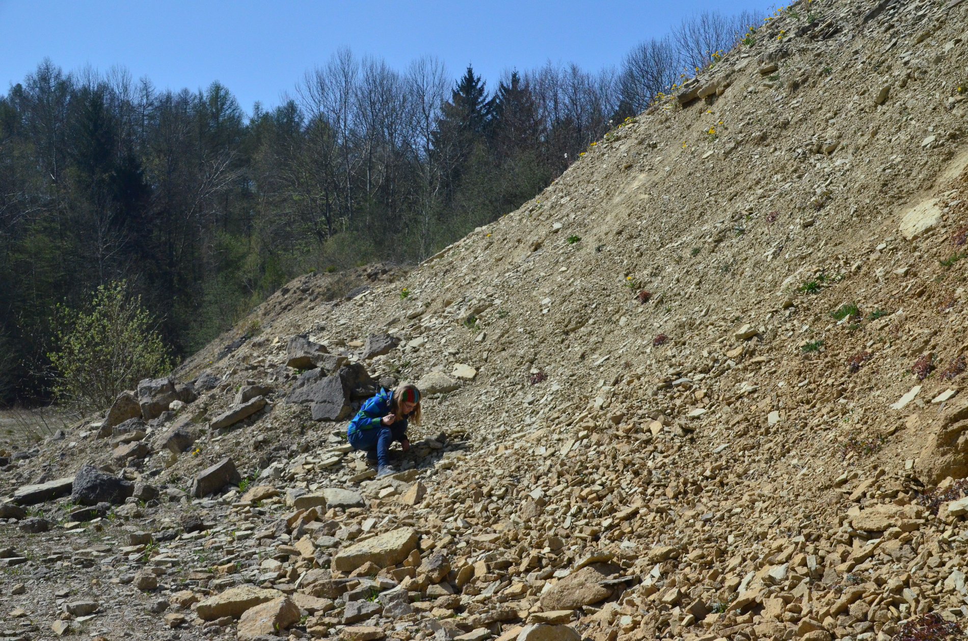 Eine Besucherin des Erlebnissteinbruch Hainholz/Elm betrachtet unter blauem Himmel das Gestein am Boden.