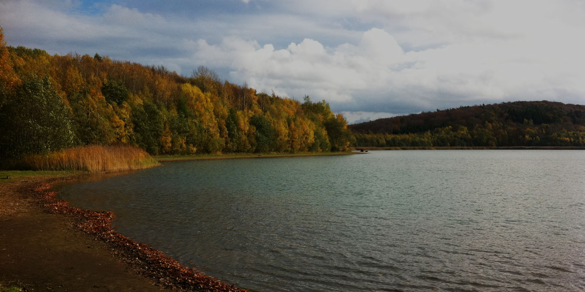 Header image