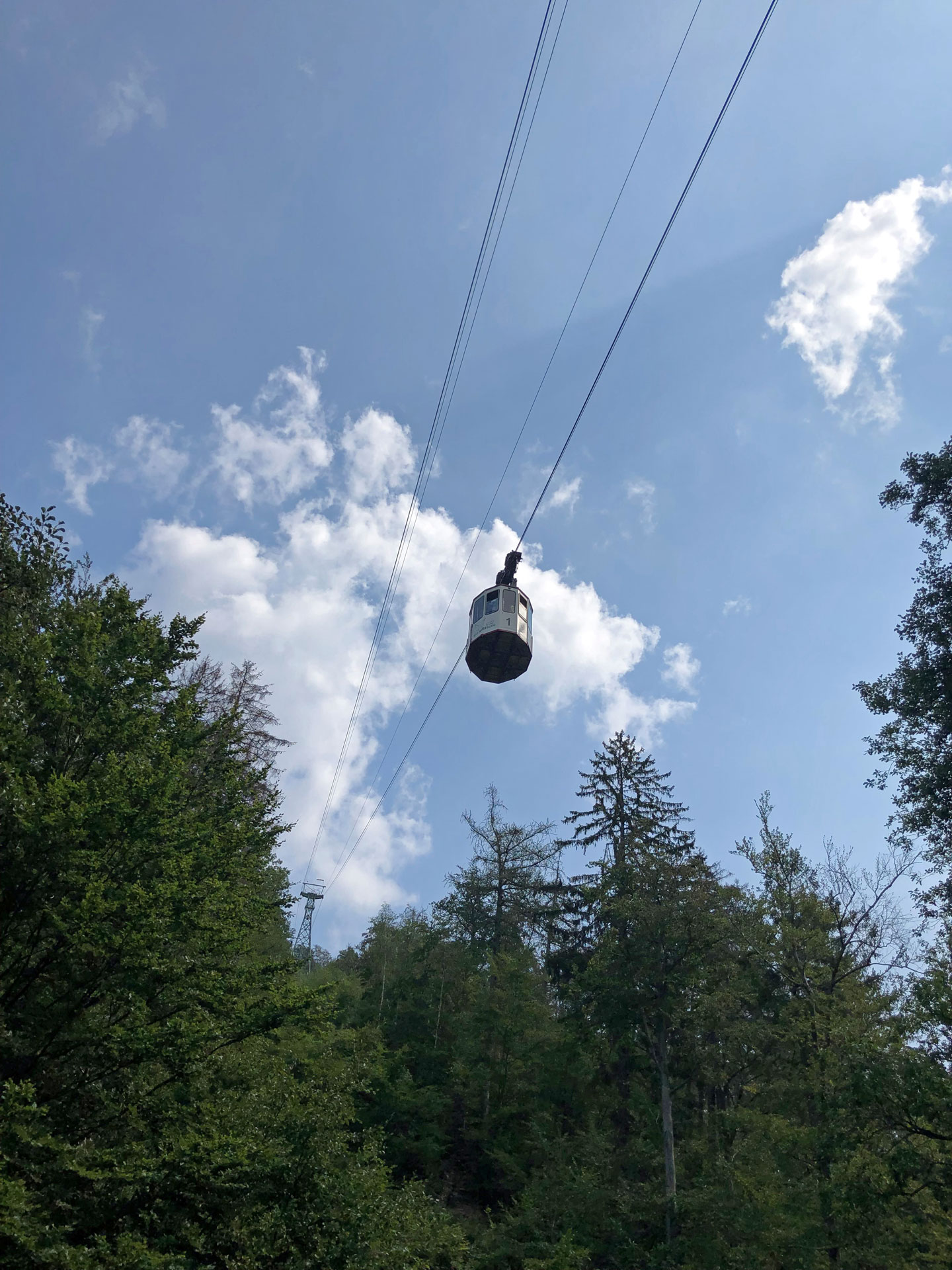 Man blickt von unten auf eine Gondel der Bad Harzburger Seilbahn