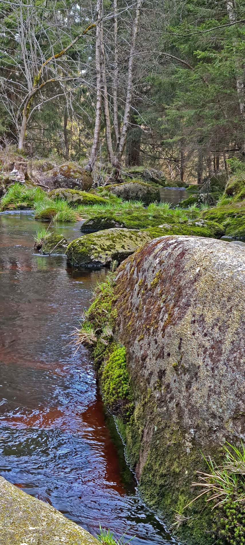 Man blickt auf das steinige Flussbett der Ecker