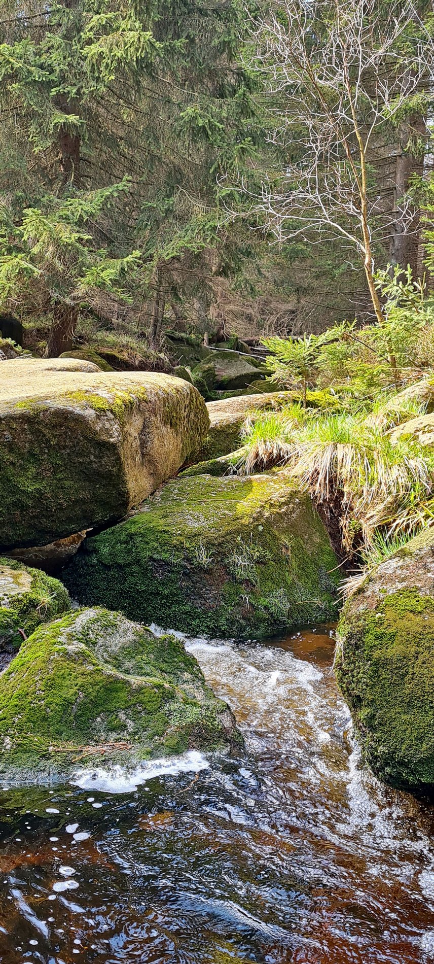 Man blickt auf den Flusslauf der Ecker