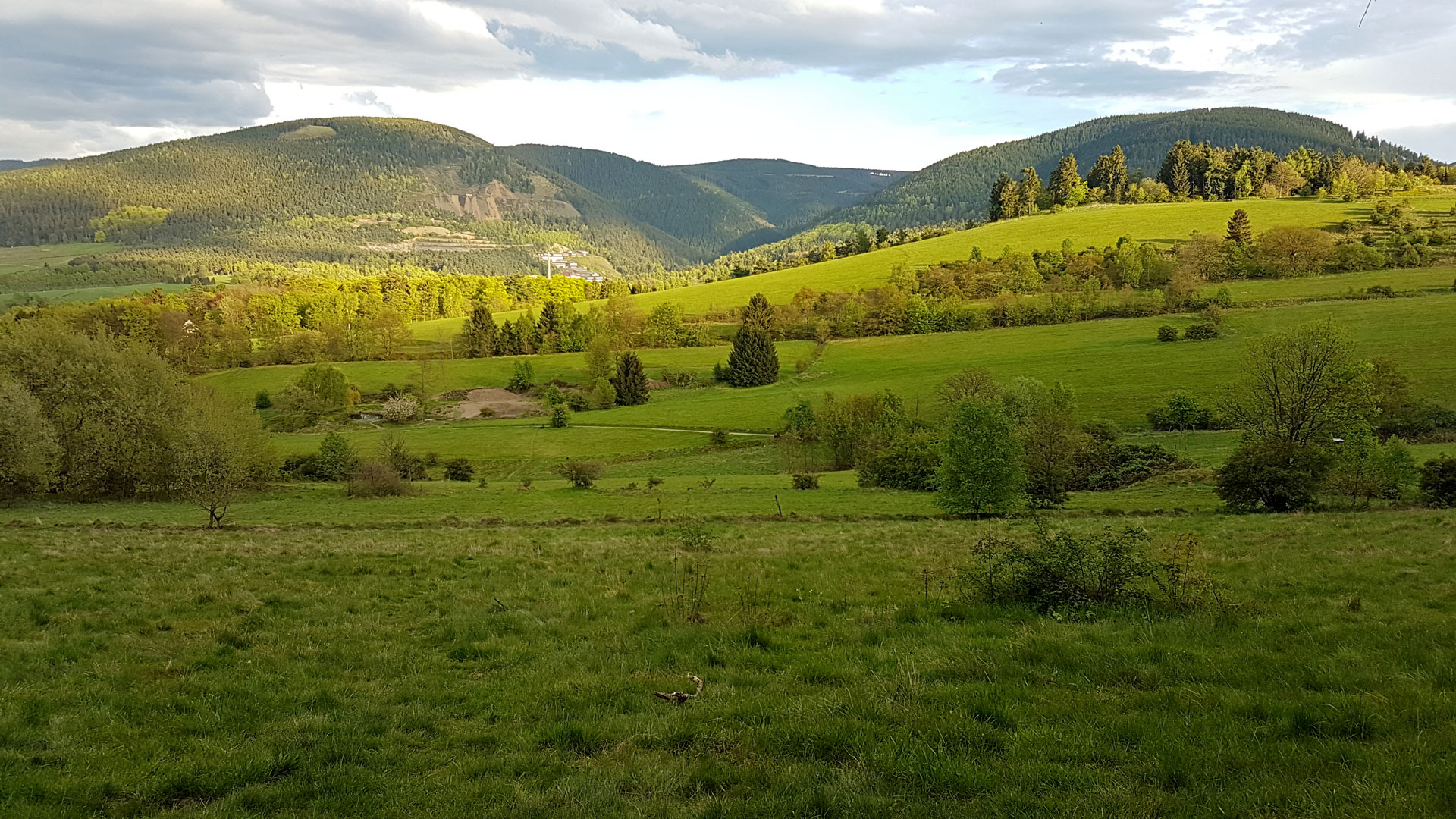 Man blickt über grüne Wiesen auf den Steinberg