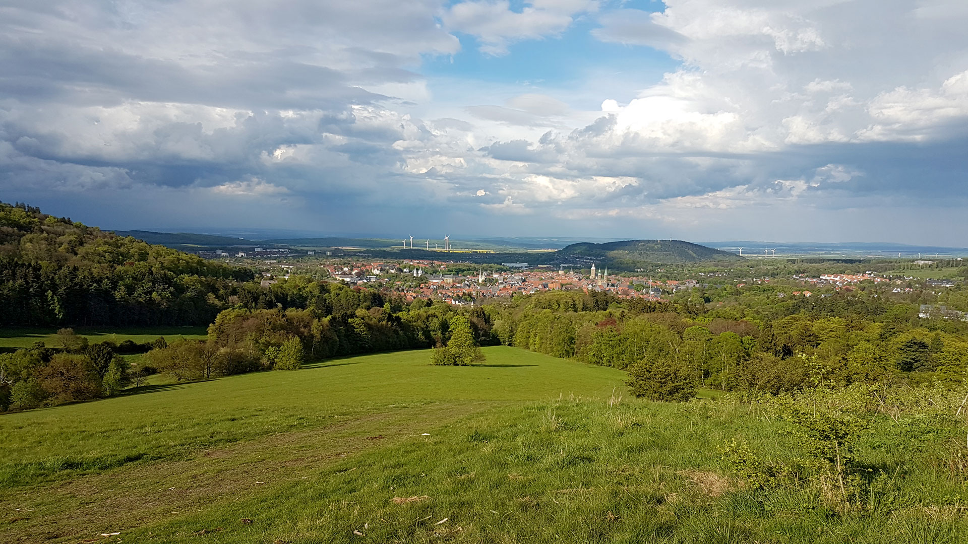 Man blickt vom Steinberg aus auf Goslar