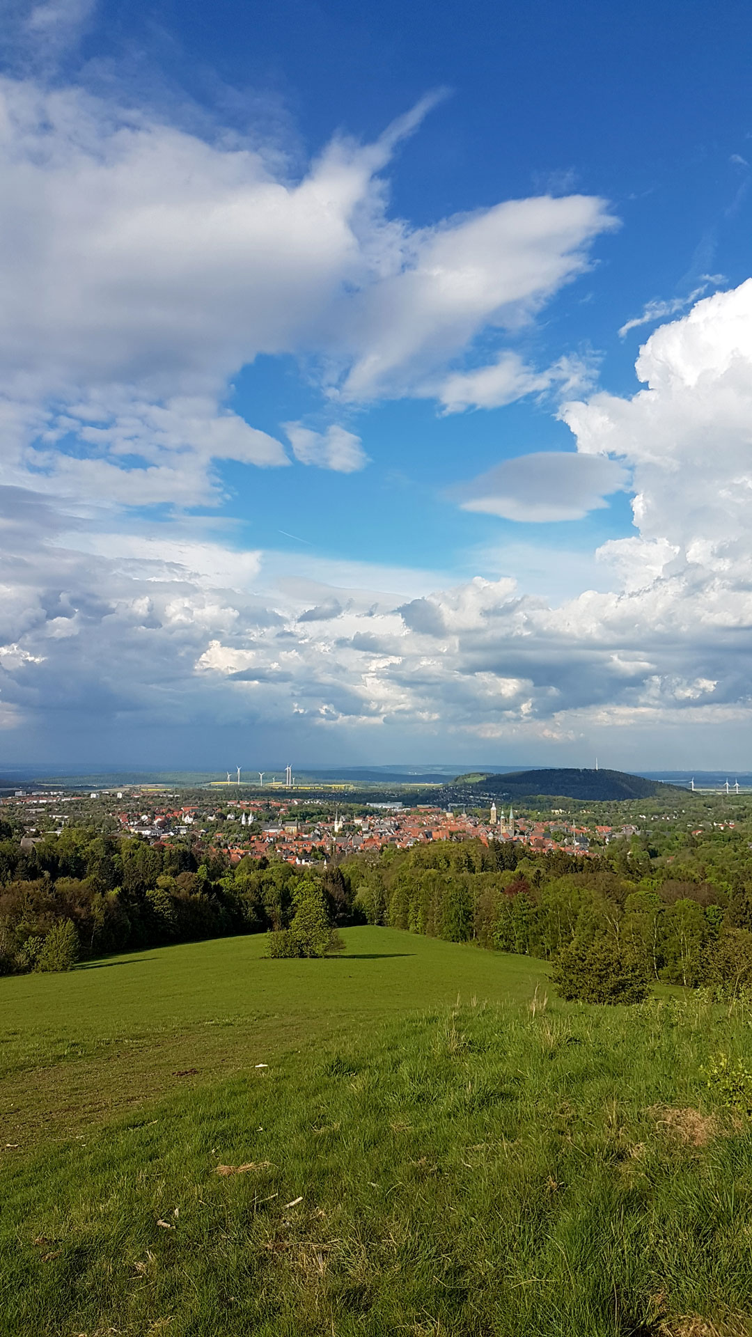 Man blickt vom Steinberg aus auf Goslar