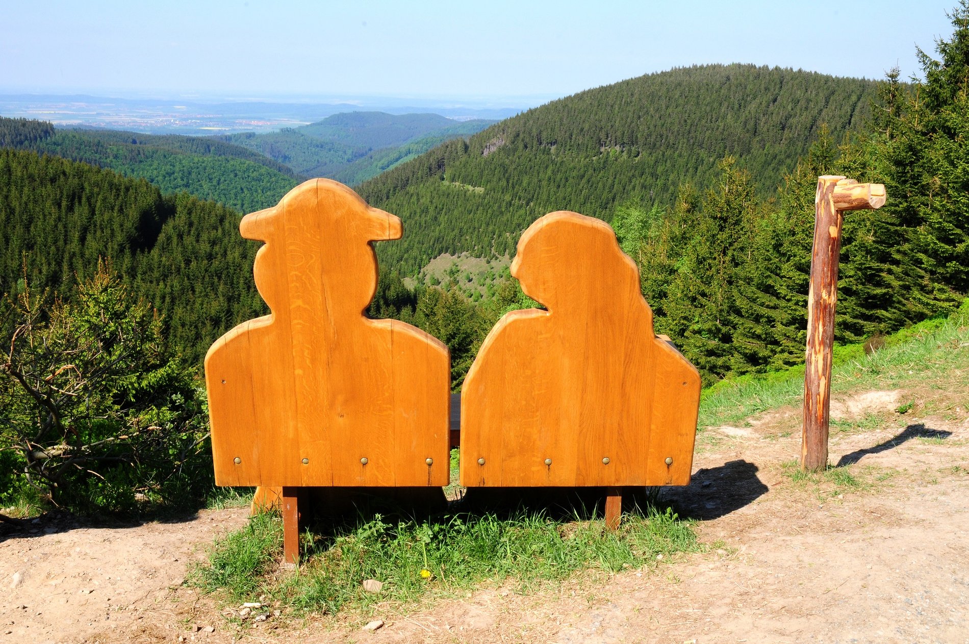 Man blickt über eine Bank auf die tannenbedeckten Berge des Harz.