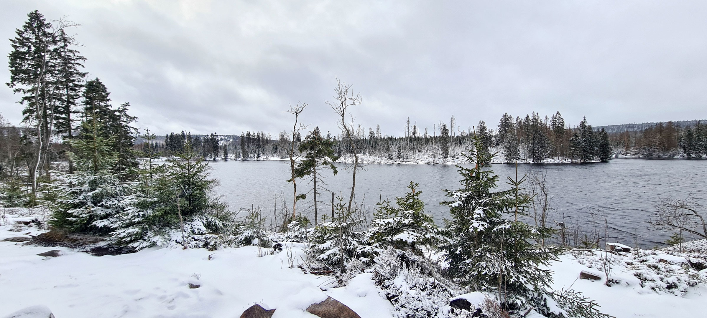 Man blickt vom winterlich verschneiten Ufer aus auf den Oderteich