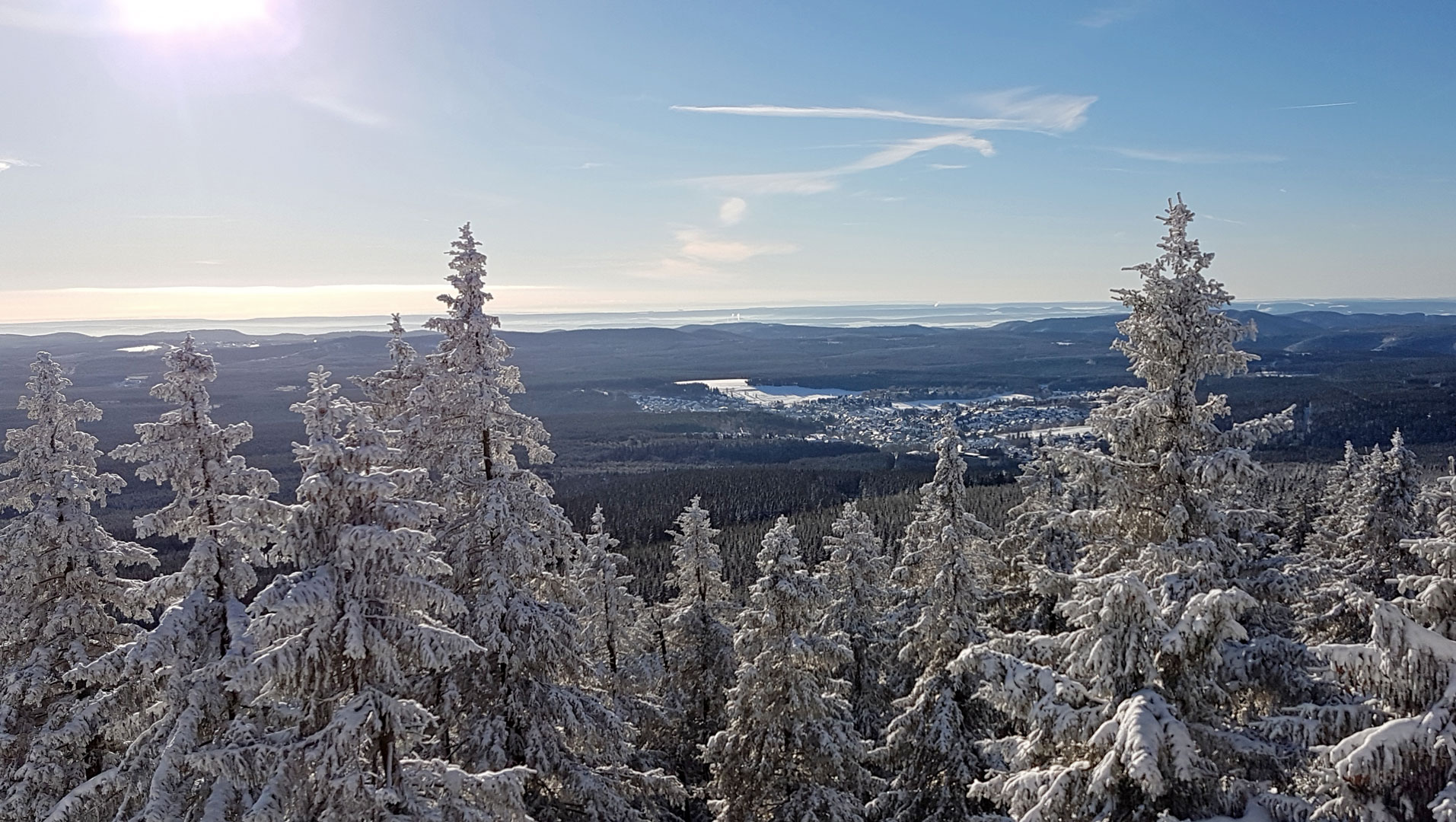 Man blickt vom Gipfel des Wurmbergs aus über einen winterlichen Nadelwald in das Tal auf Braunlage