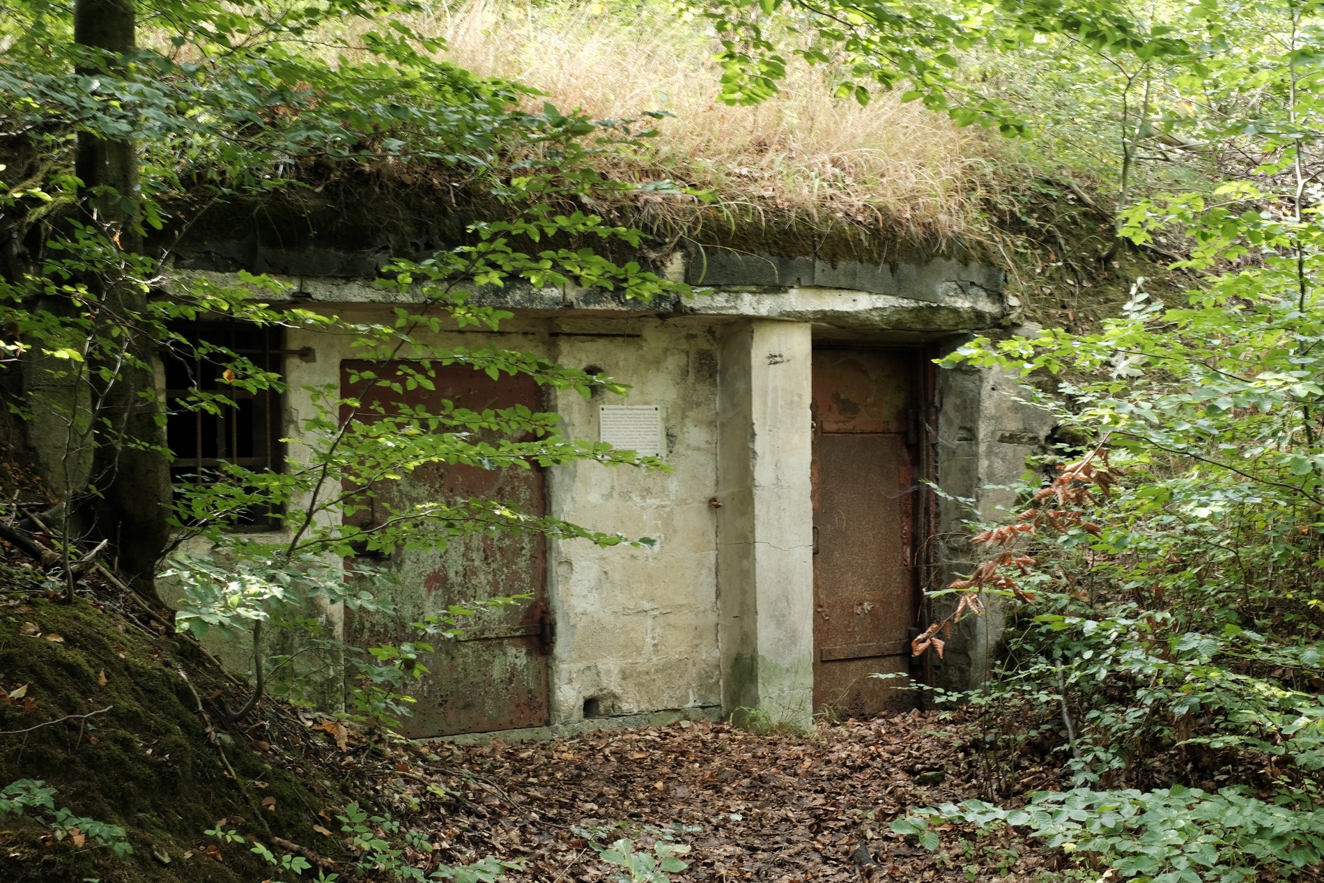 Fledermäuse wohnen heute im alten Dynamitbunker