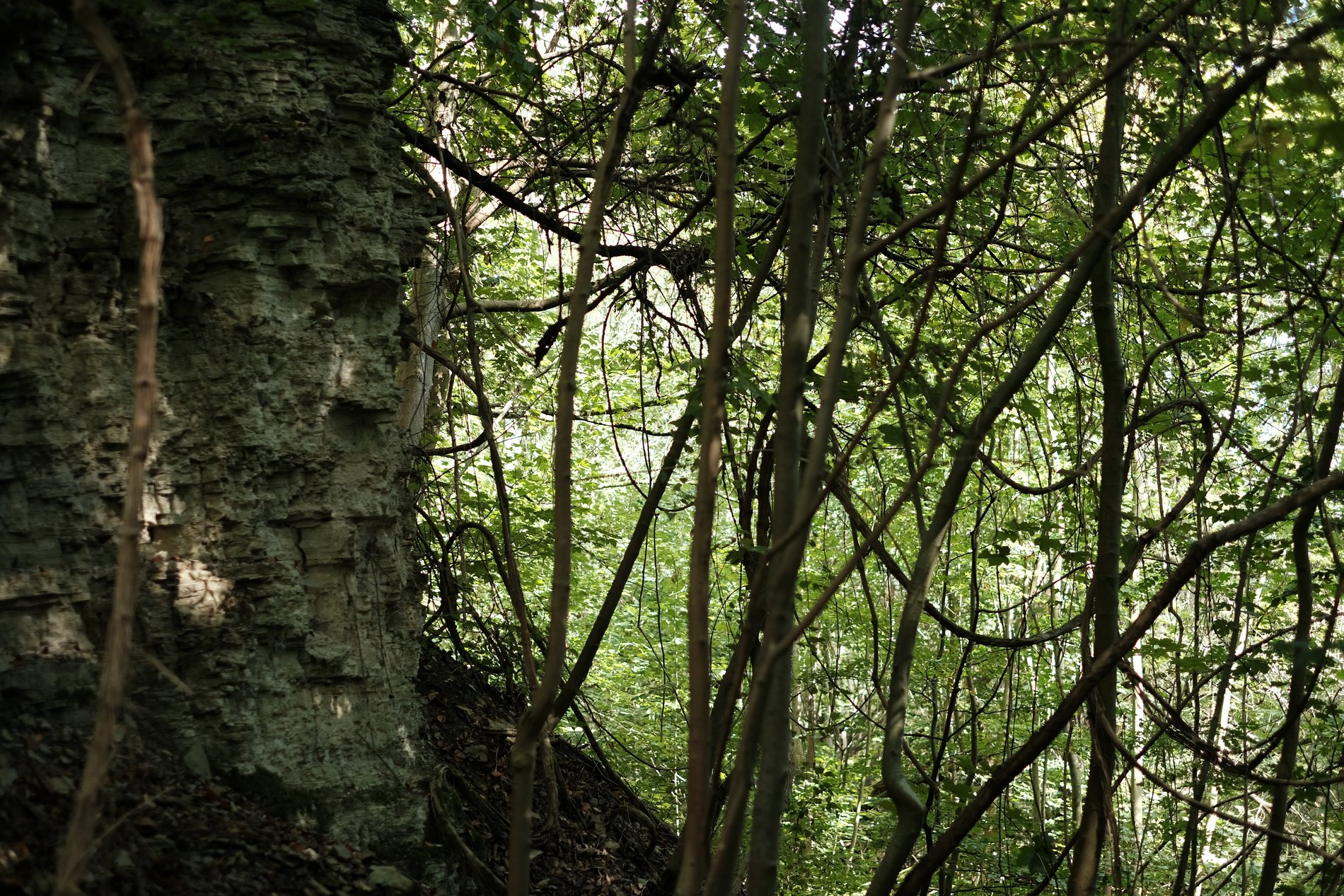 Abenteuerlich ist der Steinbruch Destedt.