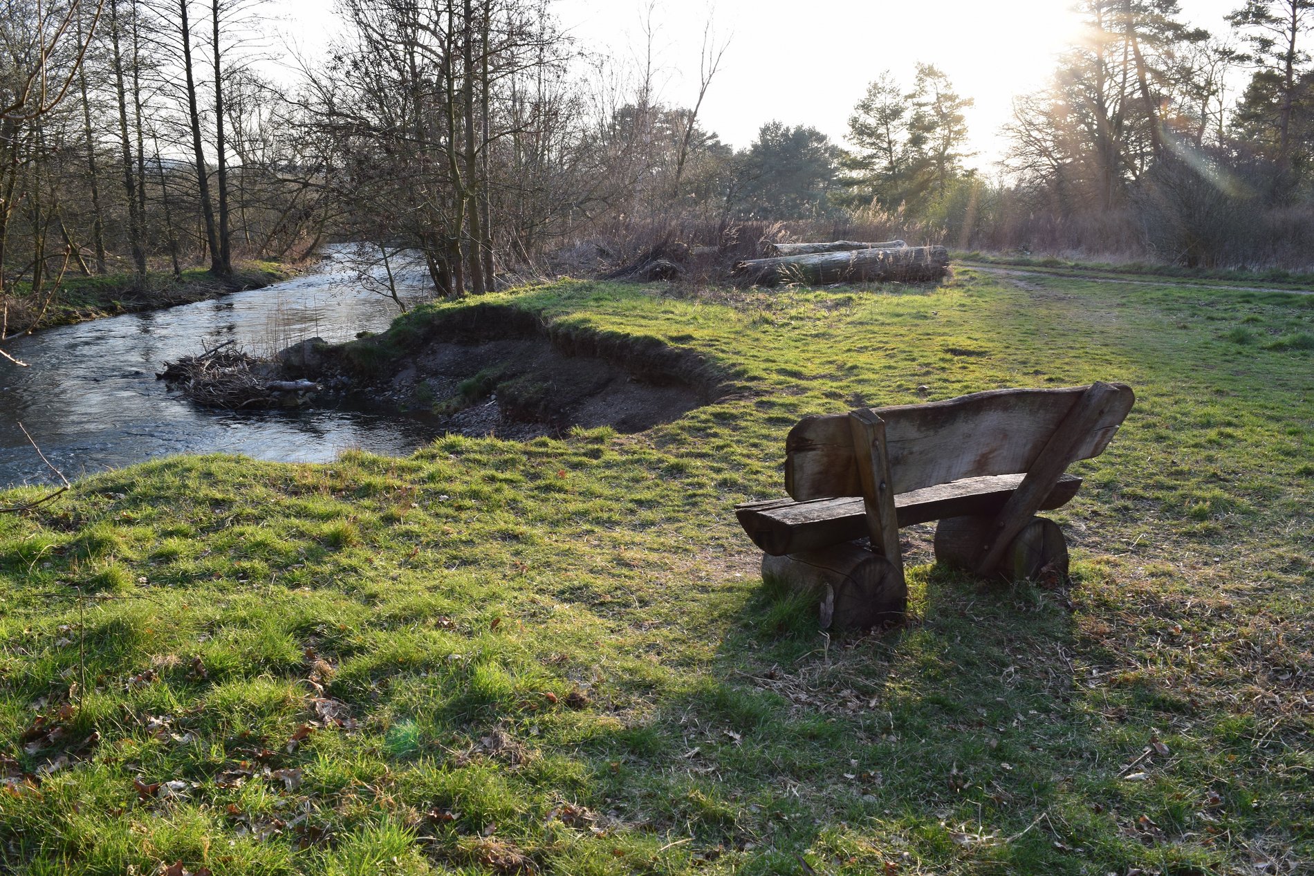 Die Innerste in Salzgitter: Eine Sitzbank aus Holz, dahinter schlängelt sich der Fluss im Sonnenschein.