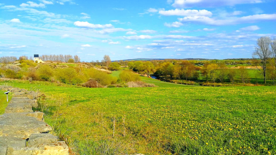 Die Kaiserpfalz Werla und umgebende Wiesen.