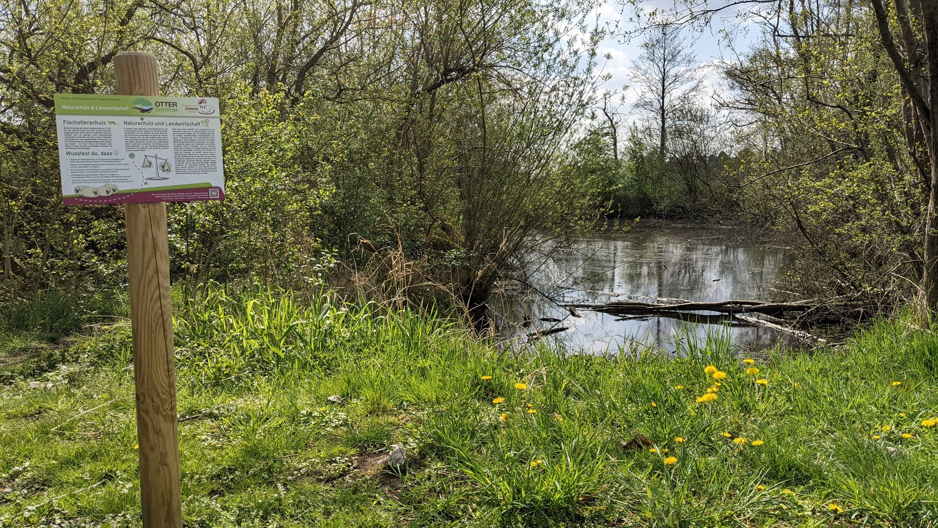 Ein Hinweisschild erklärt die Natur hinter ihm.
