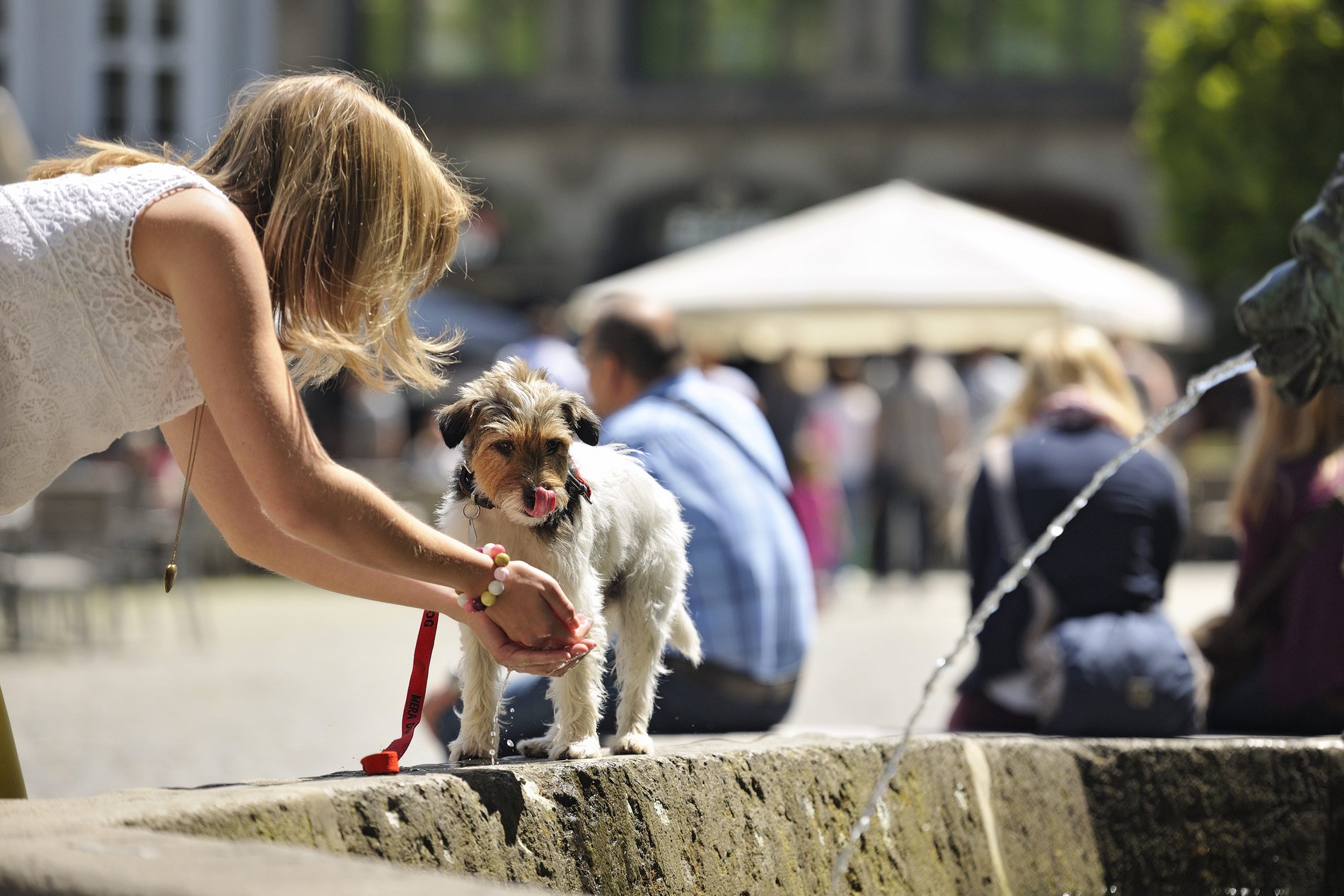 Eine Frau schöpft mit den Händen Wasser aus einem Brunnen und bietet es ihrem Hund an.