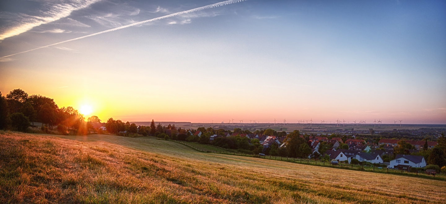 Sonnenuntergang auf einer Wiese