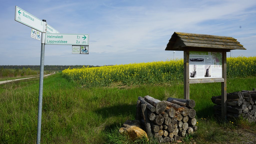 Ehemaliger Tagebau Treue Helmstedt