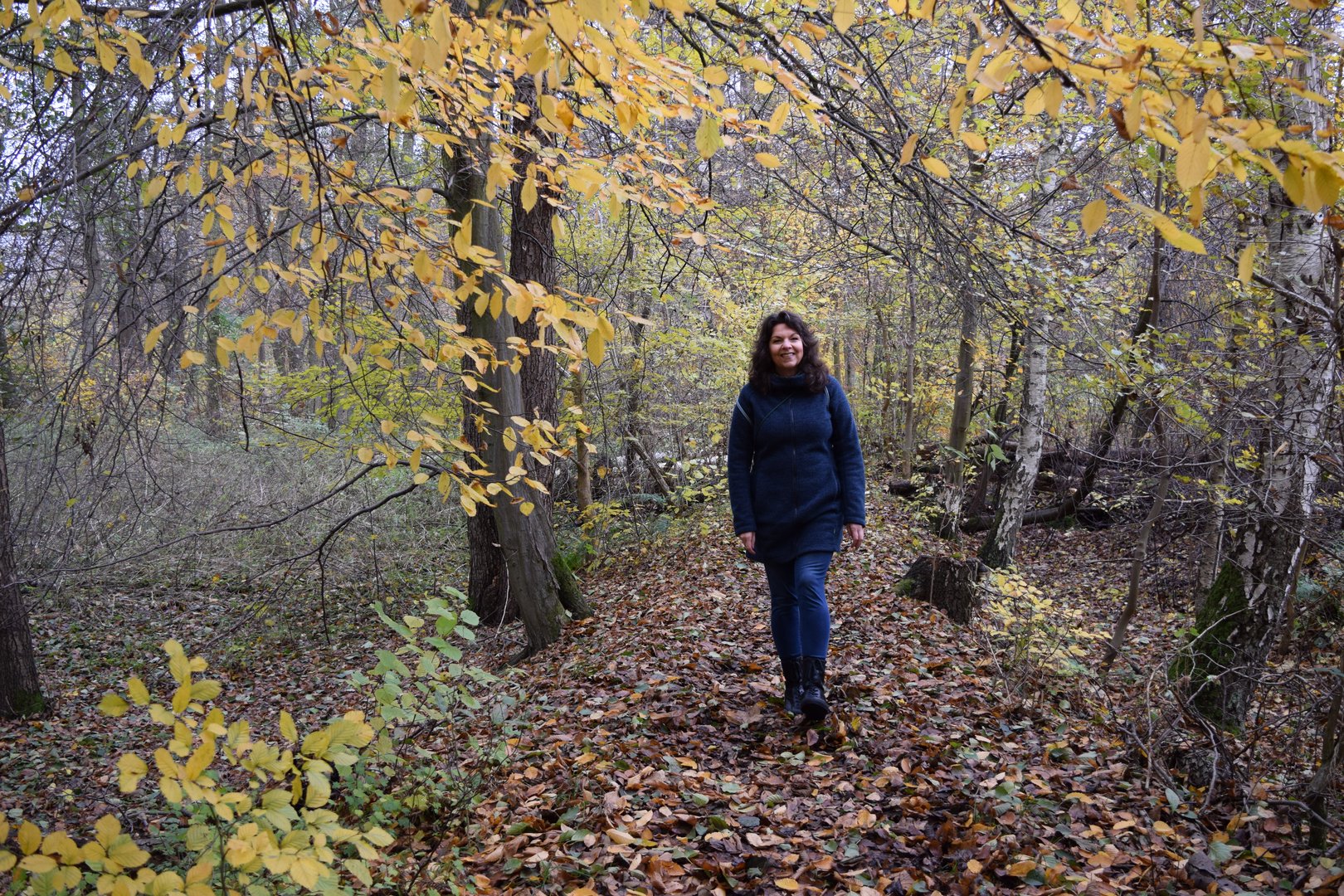 Waldgesundheits-Trainerin Nicole Schaa bei einer Führung durch den Wolfsburger Stadtwald.