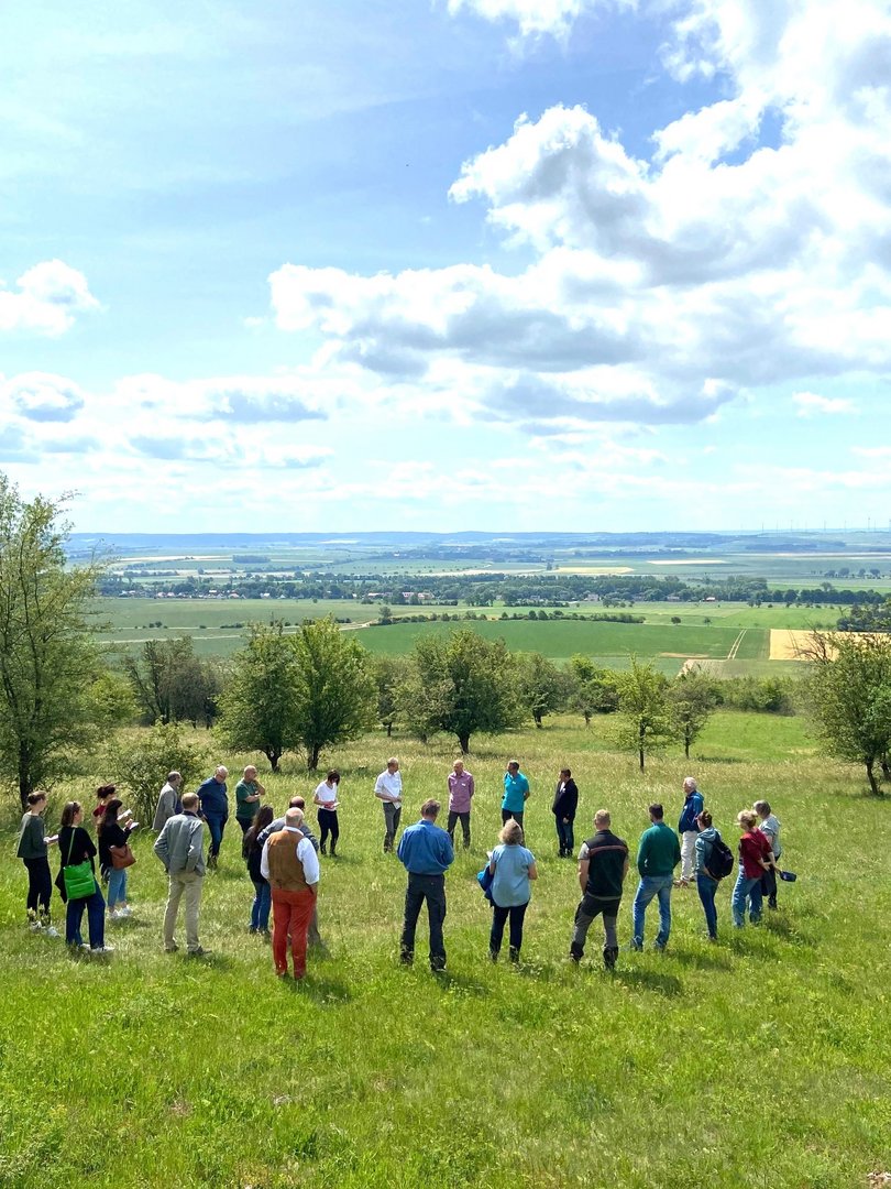 Netzwerk: Verbundprojekt "Blau-Grüne Infrastruktur"