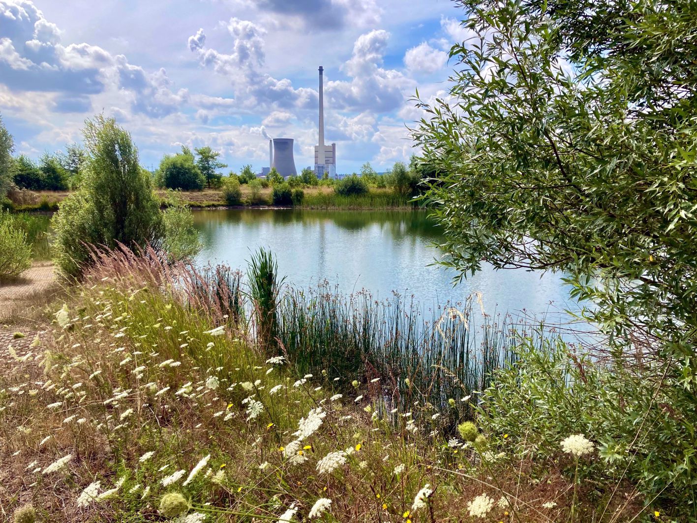Helmstedter Revier, Karpfenteich, Kraftwerk Buschhaus