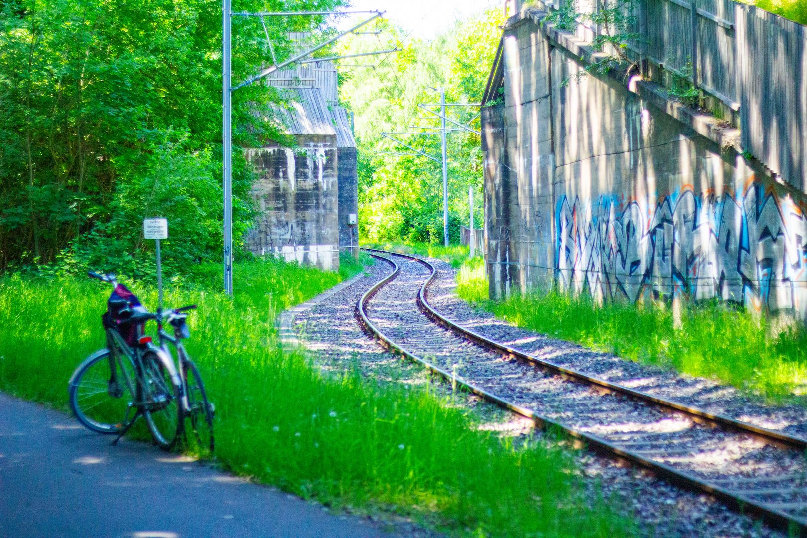 Das Ringgleis: Natur trifft Bahn.