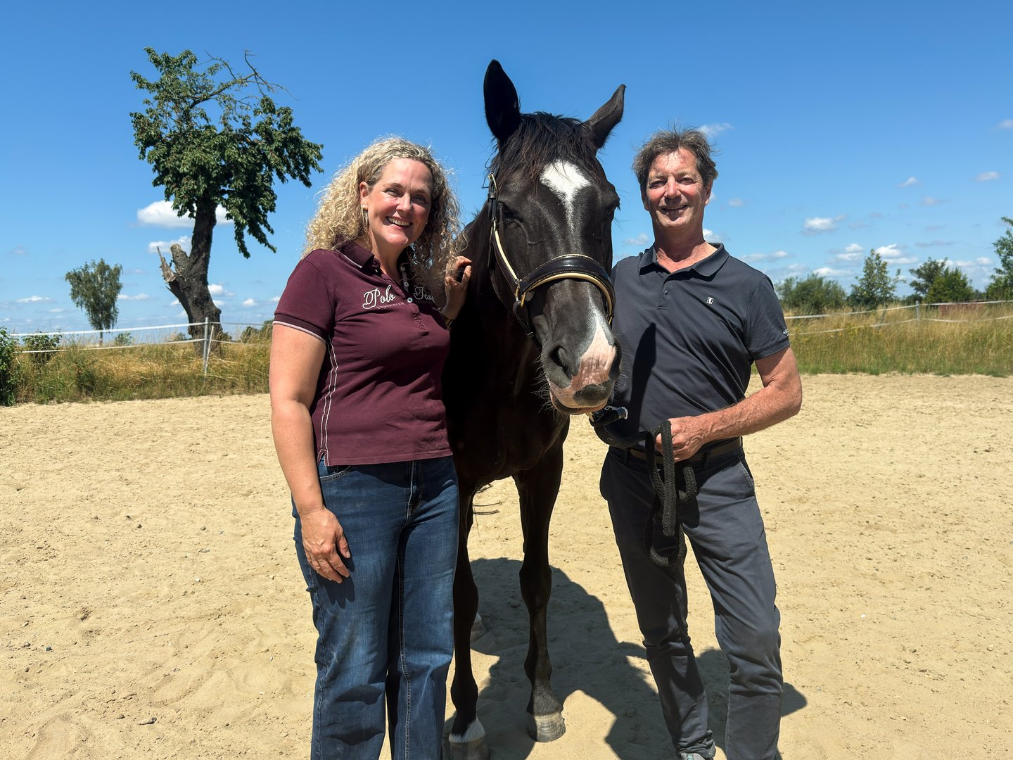Pferdegestütztes Coaching Anne Bollmann