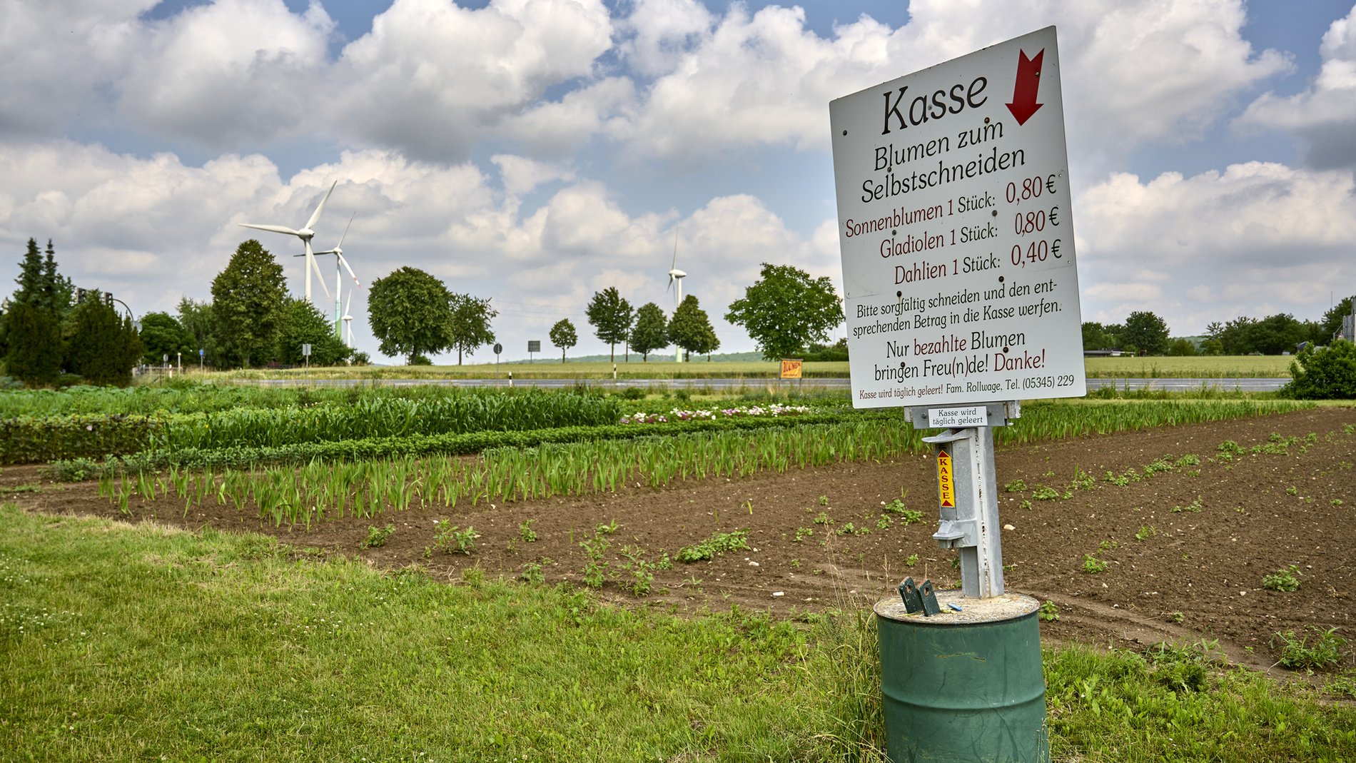 Ein Preisschild bei einer Blumenwiese zum selber pflücken.